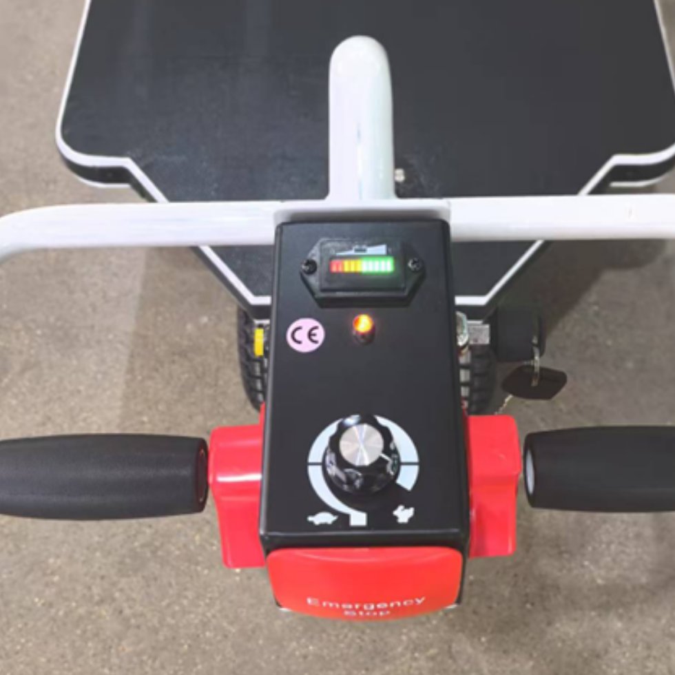 Buy Electric Platform with Fence in New Products available at Astrolift NZ